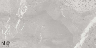 Керамогранит NT Ceramic Quanta Slate Grey арт. NS612NTT9026L (60x120) лаппатированная